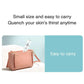 Mini Nano Mist Sprayer – USB Rechargeable Facial Steamer & Humidifier